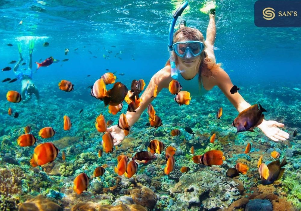 Experience scuba diving to see coral with snorkeling goggles (Photo: Collected)