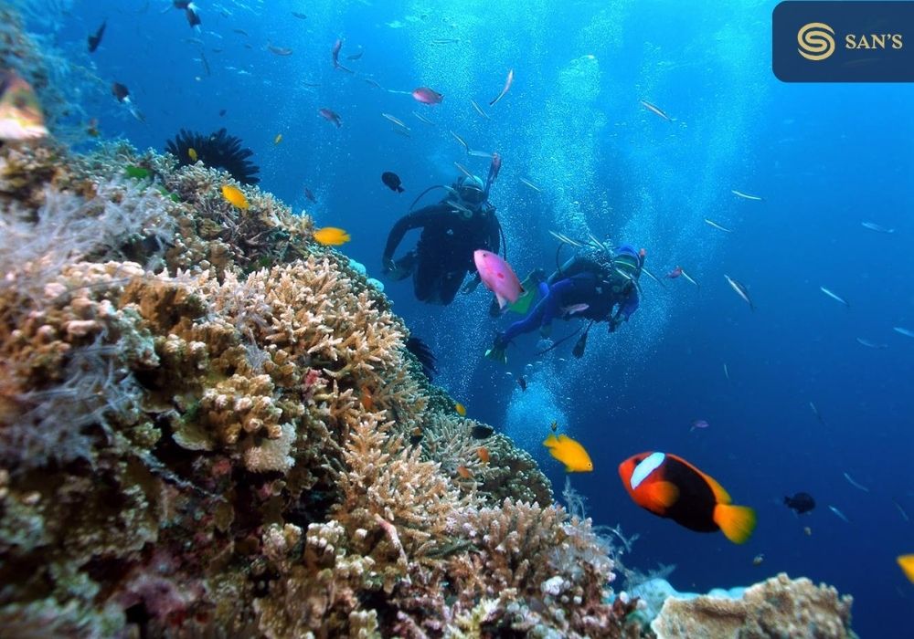 Scuba diving to see coral at Ban Chan beach - Source: Internet