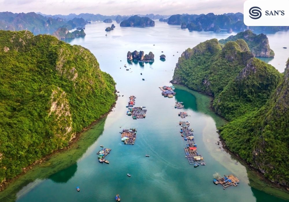 Top 4 Must-Visit Floating Villages in Halong Bay