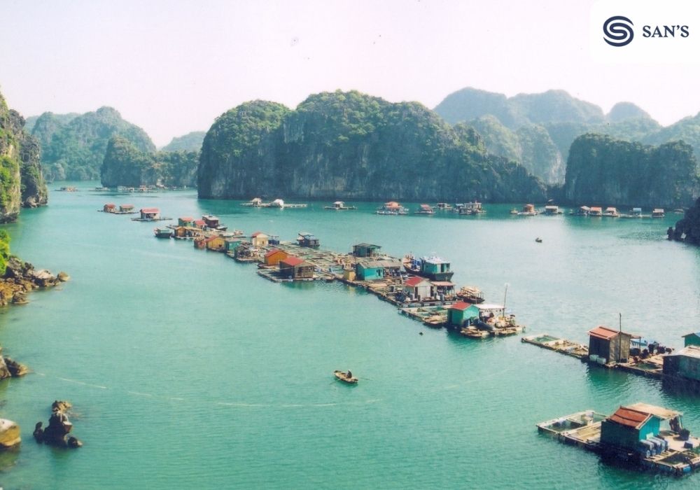 Unveiling the Charm of Ba Hang Fishing Village: Vietnam's Coastal Jewel