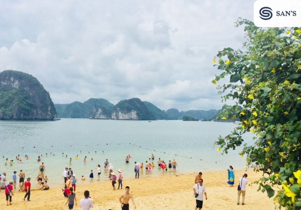 Number of tourists coming to Ha Long in May