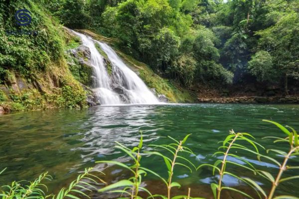 Lịch Trình Tour Du Lịch Quảng Ninh 2 Ngày 1 Đêm Tại Bình Liêu