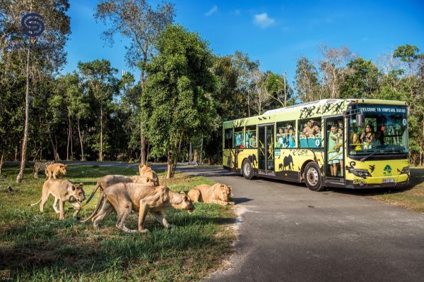 Vinpearl Safari Phú Quốc - Du lịch phú quốc 3 ngày 2 đêm