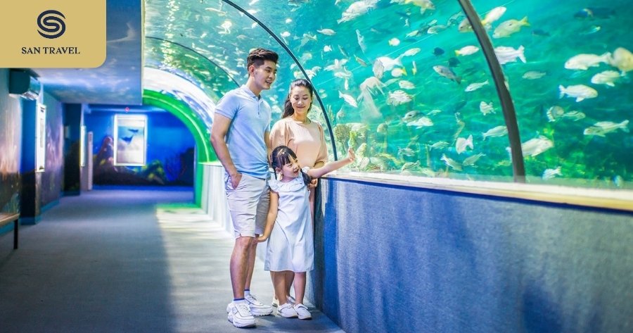 Thuy-Cung-Vinpearl-Aquarium