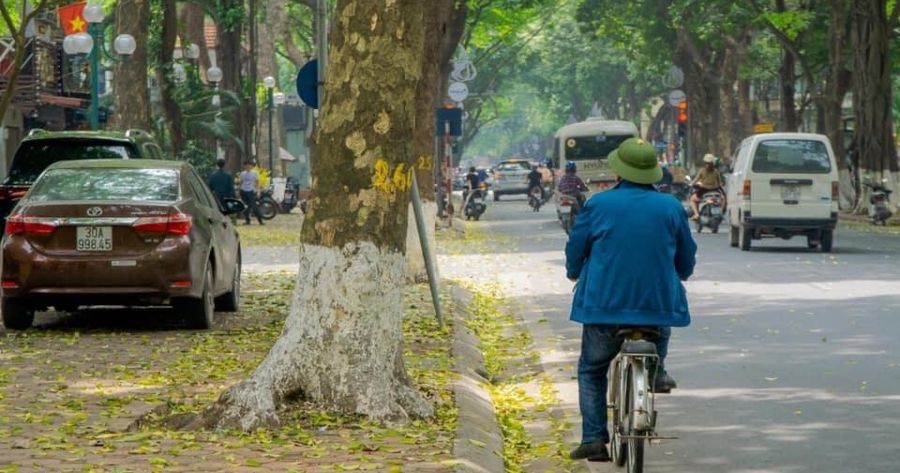 duong-pho-ha-noi