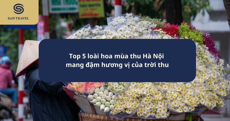 hoa mùa thu Hà Nội