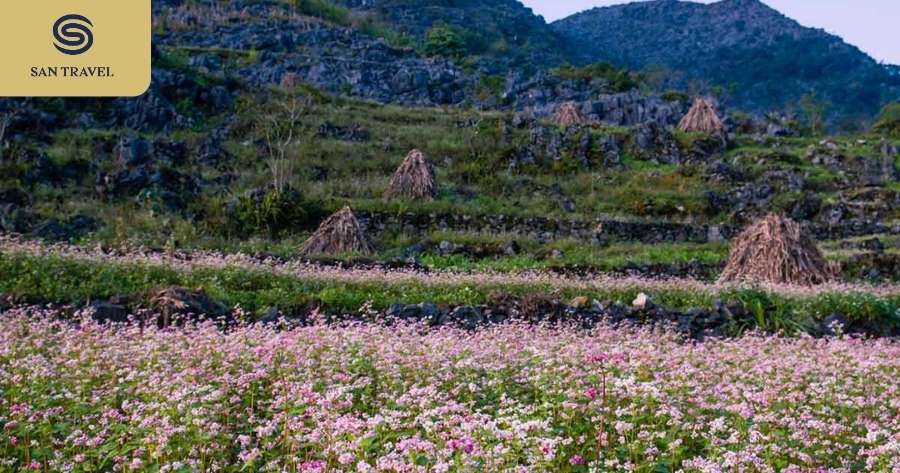 Khu di tích Cao nguyên đá Đồng Văn